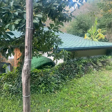 Camping Bungalow