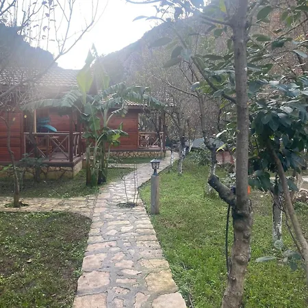 Bungalow Campsite *