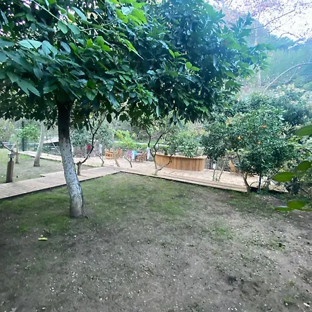 Kemp Bungalow *